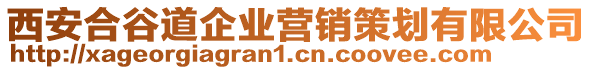 西安合谷道企業(yè)營(yíng)銷策劃有限公司