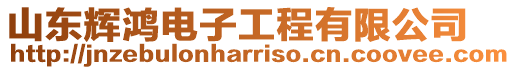 山東輝鴻電子工程有限公司