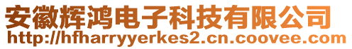 安徽輝鴻電子科技有限公司