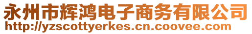 永州市輝鴻電子商務(wù)有限公司