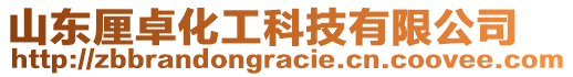 山東厘卓化工科技有限公司