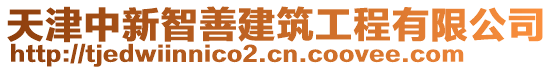 天津中新智善建筑工程有限公司