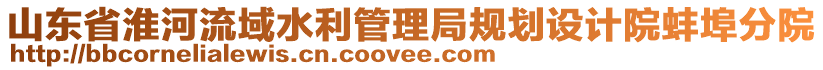 山東省淮河流域水利管理局規(guī)劃設(shè)計(jì)院蚌埠分院