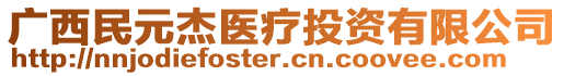 廣西民元杰醫(yī)療投資有限公司