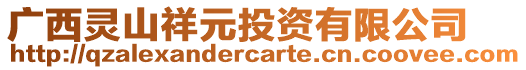 廣西靈山祥元投資有限公司