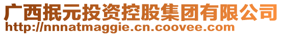 廣西抿元投資控股集團(tuán)有限公司