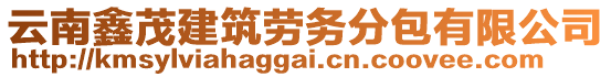 云南鑫茂建筑勞務(wù)分包有限公司