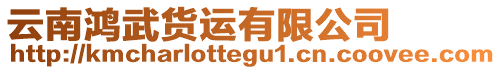 云南鴻武貨運有限公司