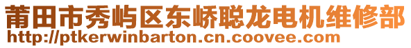 莆田市秀嶼區(qū)東嶠聰龍電機(jī)維修部