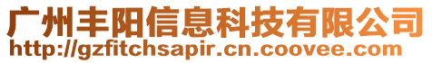 廣州豐陽信息科技有限公司