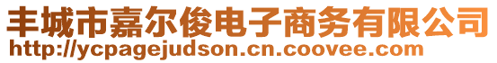 豐城市嘉爾俊電子商務(wù)有限公司