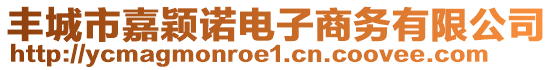 豐城市嘉穎諾電子商務(wù)有限公司