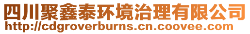 四川聚鑫泰環境治理有限公司