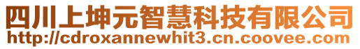 四川上坤元智慧科技有限公司