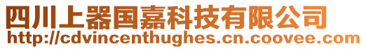 四川上器國嘉科技有限公司