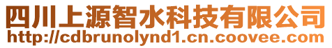 四川上源智水科技有限公司