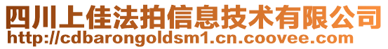 四川上佳法拍信息技術(shù)有限公司
