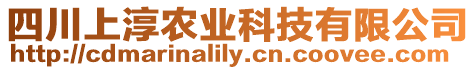 四川上淳農業科技有限公司