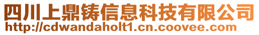 四川上鼎鑄信息科技有限公司