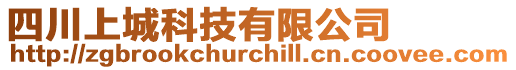 四川上城科技有限公司