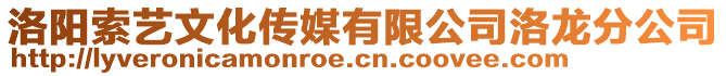 洛陽索藝文化傳媒有限公司洛龍分公司