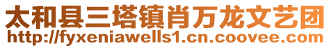 太和縣三塔鎮肖萬龍文藝團