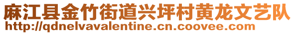 麻江縣金竹街道興坪村黃龍文藝隊(duì)