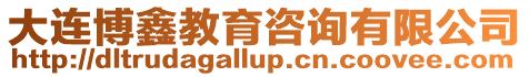 大連博鑫教育咨詢有限公司