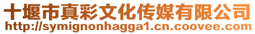 十堰市真彩文化傳媒有限公司