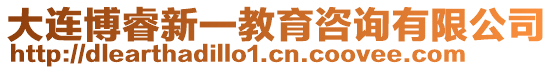 大连博睿新一教育咨询有限公司