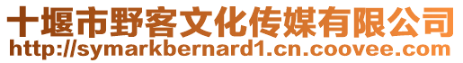 十堰市野客文化傳媒有限公司