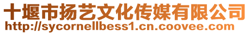 十堰市揚(yáng)藝文化傳媒有限公司