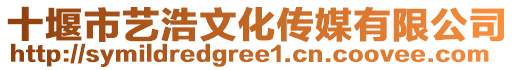 十堰市藝浩文化傳媒有限公司