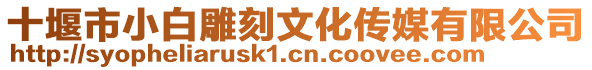十堰市小白雕刻文化傳媒有限公司