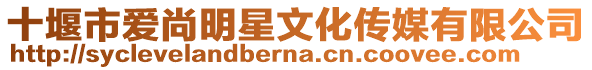 十堰市愛尚明星文化傳媒有限公司