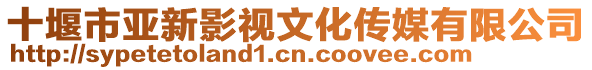 十堰市亞新影視文化傳媒有限公司