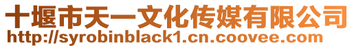 十堰市天一文化傳媒有限公司