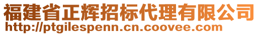 福建省正輝招標代理有限公司