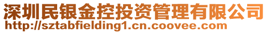 深圳民銀金控投資管理有限公司