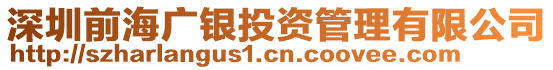 深圳前海廣銀投資管理有限公司