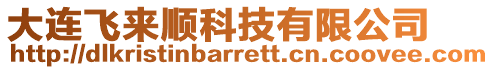 大連飛來(lái)順科技有限公司