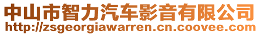 中山市智力汽車影音有限公司