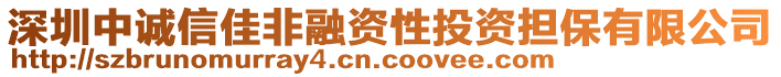 深圳中誠信佳非融資性投資擔(dān)保有限公司