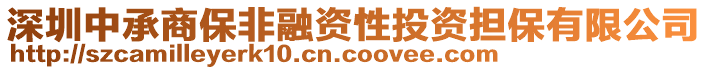 深圳中承商保非融資性投資擔(dān)保有限公司