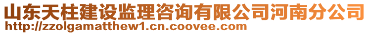 山東天柱建設(shè)監(jiān)理咨詢(xún)有限公司河南分公司