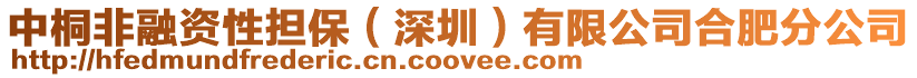 中桐非融資性擔保（深圳）有限公司合肥分公司