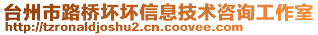 臺(tái)州市路橋壞壞信息技術(shù)咨詢工作室