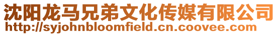 沈陽龍馬兄弟文化傳媒有限公司