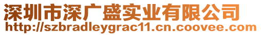 深圳市深廣盛實業有限公司