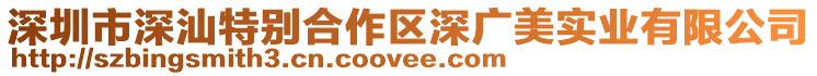 深圳市深汕特別合作區深廣美實業有限公司